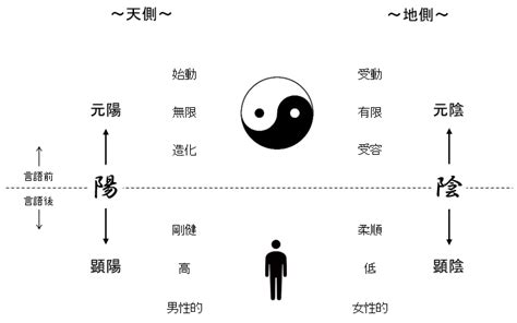 陰と陽 人間|陰陽哲学基本概要(19) ～陽と陰の象徴的シンボルとイメージ～